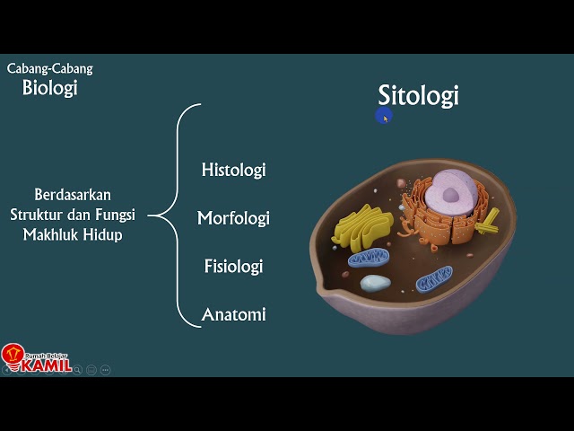 Rumah Belajar Kamil Litetube