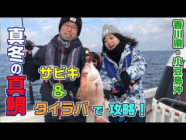 サビキ チョクリ仕掛けで明石の船真鯛を釣る ガッ釣り関西 037 Litetube サビキ チョクリ仕掛けで明石の船真鯛を釣る ガッ釣り関西 037 Litetube