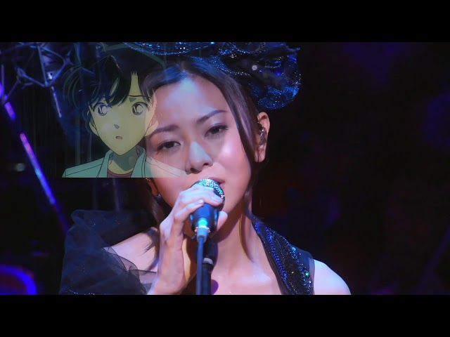 仓木麻衣sakura Litetube