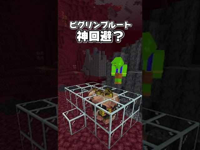 きおきお Kiokio Litetube きおきお Kiokio Litetube
