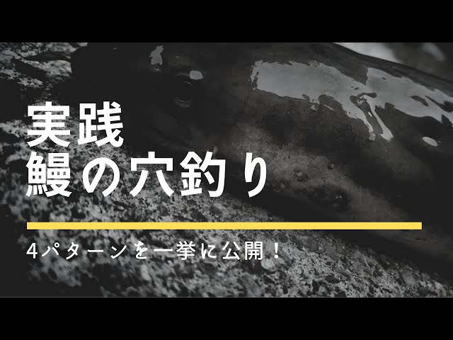 プロによる天然ウナギの 穴釣り を水中映像で 天然食材ハンター谷田圭太の野人塾 File12 天然ウナギ水中 編 Litetube