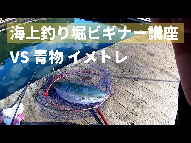春の釣り堀の目玉 サクラマスと食い渋りシマアジの釣り方 Litetube 春の釣り堀の目玉 サクラマスと食い渋りシマアジの釣り方 Litetube