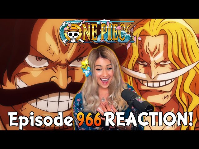 Roger Pirates Vs Whitebeard Pirates One Piece Episode 966 Reaction Review Litetube Roger Pirates Vs Whitebeard Pirates One Piece Episode 966 Reaction Review Litetube