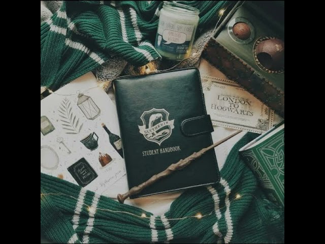 You're a Slytherin💚🐍/ Death Eater☠️/ Dark Wizard🖤 but it's  a playlist