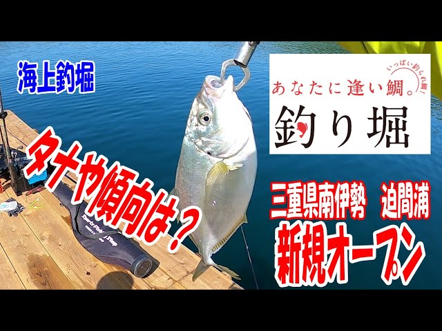 春の釣り堀の目玉 サクラマスと食い渋りシマアジの釣り方 Litetube 春の釣り堀の目玉 サクラマスと食い渋りシマアジの釣り方 Litetube