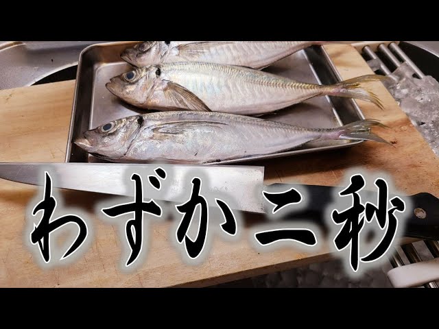 キスの捌き方 刺身編 簡単な皮引き Litetube