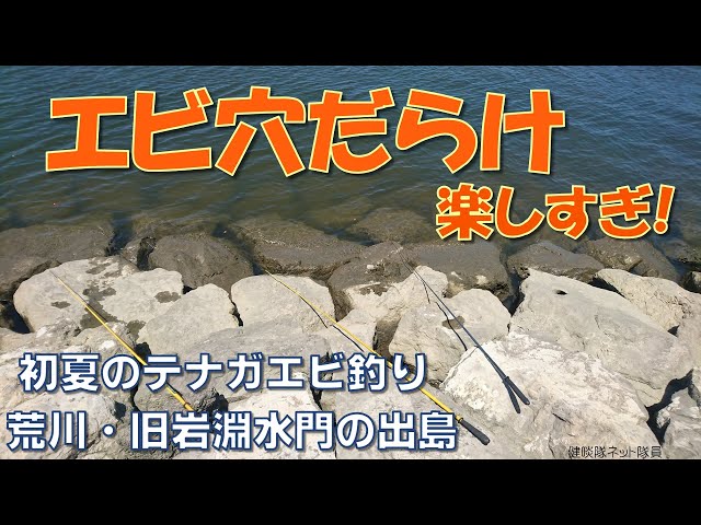 テナガエビ釣り 荒川 旧岩淵水門の出島は エビ穴天国 健啖隊ネット隊員 Y Katsu Litetube テナガエビ釣り 荒川 旧岩淵水門の出島は エビ穴天国 健啖隊ネット隊員 Y Katsu Litetube