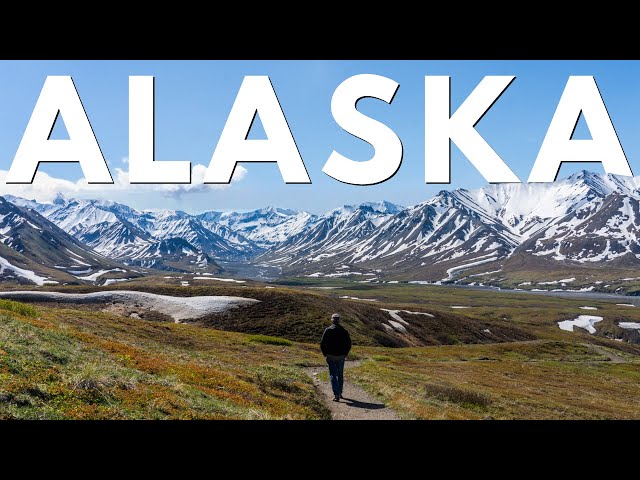 Alaska 8 Day Road Trip: Anchorage, Fairbanks, Glaciers, Wildlife & Denali over 1,000 Miles