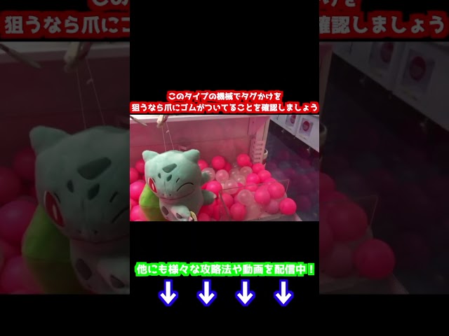 メダラブ Litetube メダラブ Litetube
