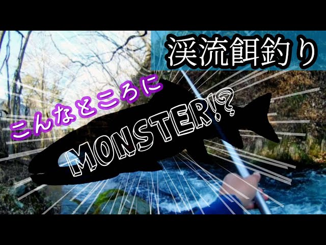 渓流釣り 大物との出会いは突然に 突然ロッドが曲がり ガツーンと引っぱらる感触が Litetube 渓流釣り 大物との出会いは突然に 突然ロッドが曲がり ガツーンと引っぱらる感触が Litetube