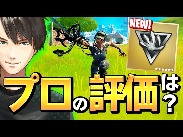 大会で ゲーム落ちたふり する猛者に 許せずブちぎれるプロw フォートナイト Fortnite Litetube