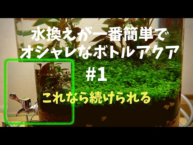 ウォーターサーバー ボトルアクアリウム 作り方 水換え超簡単 ダイソーアイテムでベタ メダカ用ボトルアクアリウム作成 How To Make A Bottle Aquarium Litetube ウォーターサーバー ボトルアクアリウム 作り方 水換え超簡単 ダイソーアイテムでベタ メダカ用ボトルアクアリウム作成 How To Make A Bottle Aquarium Litetube