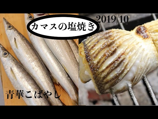カマス刺身 作り方 焼霜作り Litetube カマス刺身 作り方 焼霜作り Litetube