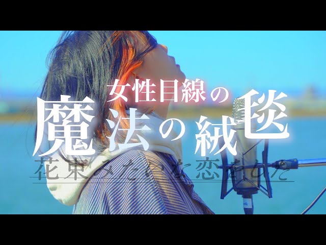 魔法の絨毯 花束みたいな恋をした 絹ちゃん目線 君が仮にどんな恋を重ねてさ 川崎鷹也 なすお 替え歌カバー Litetube 魔法の絨毯 花束みたいな恋をした 絹ちゃん目線 君が仮にどんな恋を重ねてさ 川崎鷹也 なすお 替え歌カバー Litetube