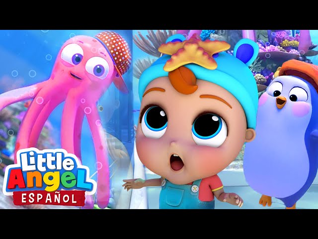 Little Angel Espanol Canciones Infantiles Litetube