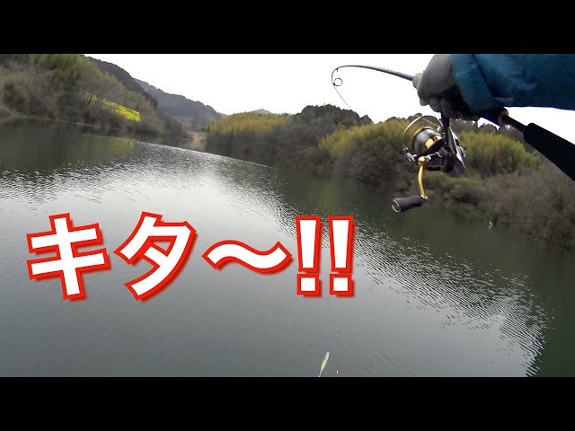 レンタルボートで快適 バスフィッシング In 弥栄ダム Litetube