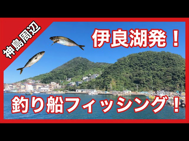 田原市に穴釣りに行ってきました Litetube