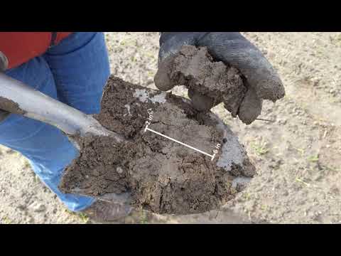 How To Take A Soil Sample