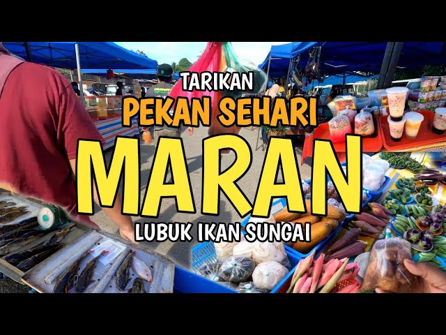 Apa Yang Menarik Di Pekan Sehari Maran Pahang Litetube