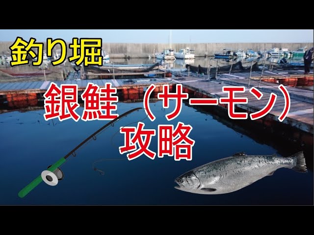 海上釣堀 石鯛 攻略 Litetube