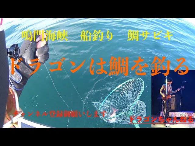サビキ チョクリ仕掛けで明石の船真鯛を釣る ガッ釣り関西 037 Litetube サビキ チョクリ仕掛けで明石の船真鯛を釣る ガッ釣り関西 037 Litetube