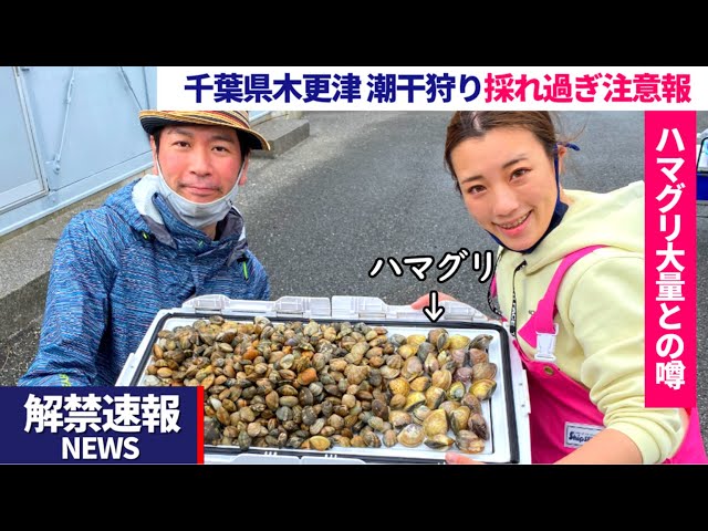 潮干狩り 東京湾でハマグリ採り放題 16歳以上大人の潮干狩り 林遊船 蛤 貝掘り 裏技 Litetube 潮干狩り 東京湾でハマグリ採り放題 16歳以上大人の潮干狩り 林遊船 蛤 貝掘り 裏技 Litetube