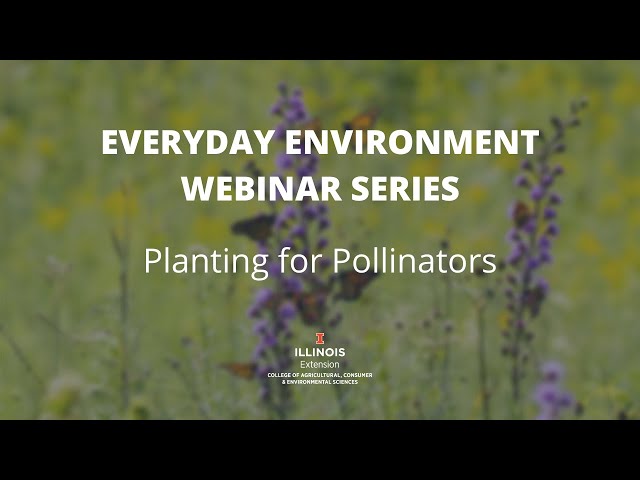 Planting for #Pollinators: Everyday #Environment Webinar Series