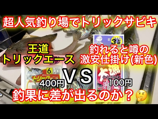 王道のトリックサビキ仕掛けと最強に釣れると噂の激安のサビキ仕掛けで 釣果に差が出るのか検証 豊浜釣り桟橋 Litetube