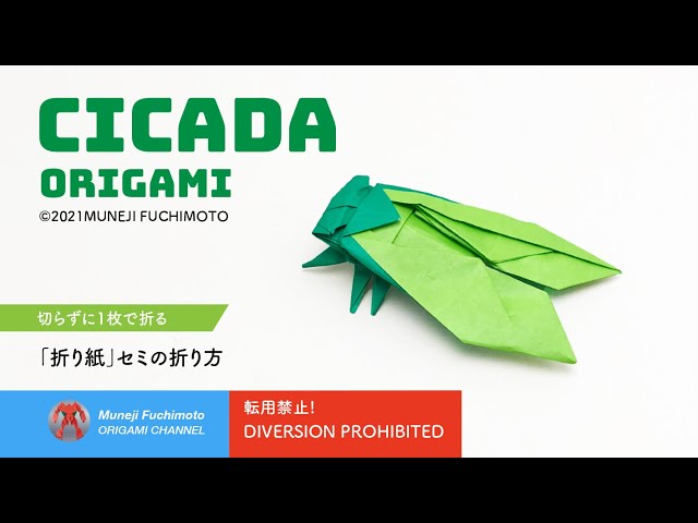 Muneji Fuchimoto Origami Channel Litetube Muneji Fuchimoto Origami Channel Litetube