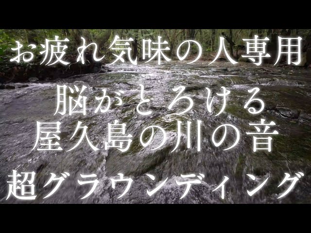 感じるスピリチュアルしゅうさんshusan Feel Spiritual Litetube 感じるスピリチュアルしゅうさんshusan Feel Spiritual Litetube