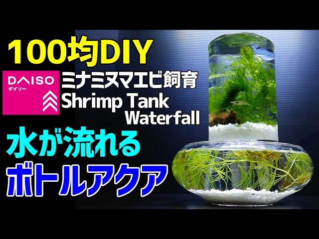ウォーターサーバー ボトルアクアリウム 作り方 水換え超簡単 ダイソーアイテムでベタ メダカ用ボトルアクアリウム作成 How To Make A Bottle Aquarium Litetube ウォーターサーバー ボトルアクアリウム 作り方 水換え超簡単 ダイソーアイテムでベタ メダカ用ボトルアクアリウム作成 How To Make A Bottle Aquarium Litetube