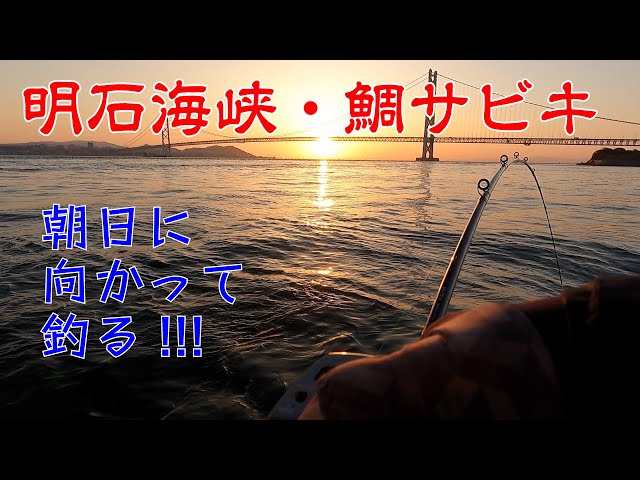 サビキ チョクリ仕掛けで明石の船真鯛を釣る ガッ釣り関西 037 Litetube サビキ チョクリ仕掛けで明石の船真鯛を釣る ガッ釣り関西 037 Litetube