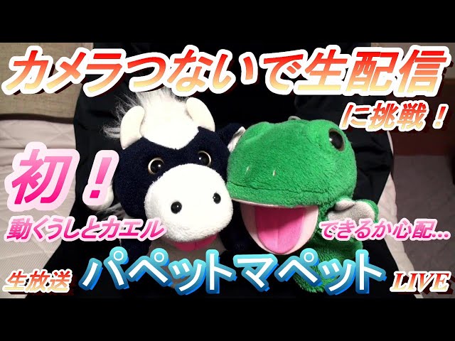 あつ森 うしとカエルのあつまれどうぶつの森 パペットマペットがプレイ 39 ゴージャスさんの島の大迷路に挑戦 生放送 Litetube あつ森 うしとカエルのあつまれどうぶつの森 パペットマペットがプレイ 39 ゴージャスさんの島の大迷路に挑戦 生放送 Litetube