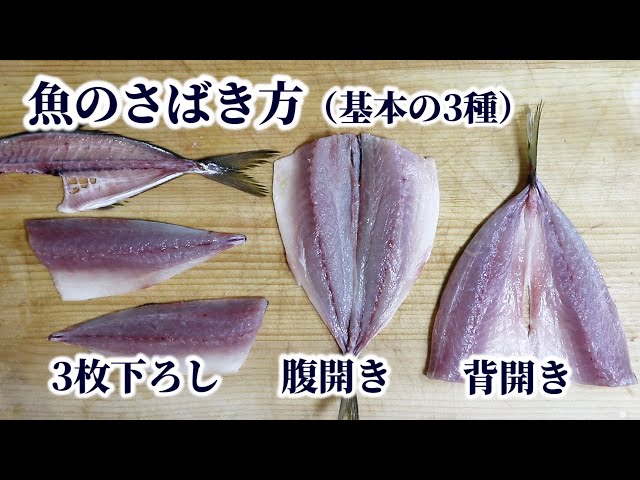 誰でも簡単 カマスの捌き方 天ぷら用に 背開き をマスターしよう Litetube 誰でも簡単 カマスの捌き方 天ぷら用に 背開き をマスターしよう Litetube