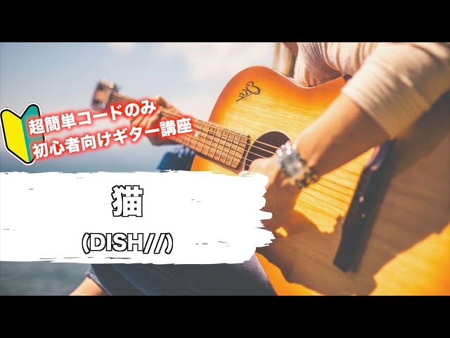 猫 Dish を簡単ギターコードのみで弾くには 初心者向け Litetube