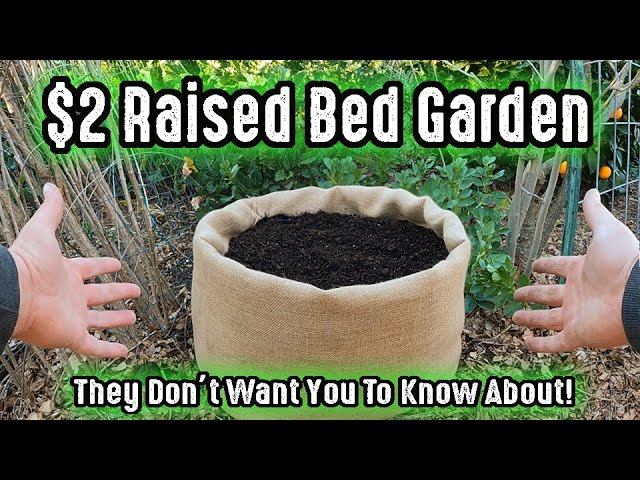 They Don't Want You To Know About This $2.00 Raised Garden Bed From The Big Box Store!