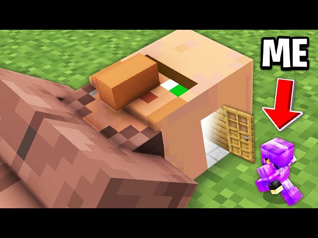 Minecraft, But What's Inside This Mob?
