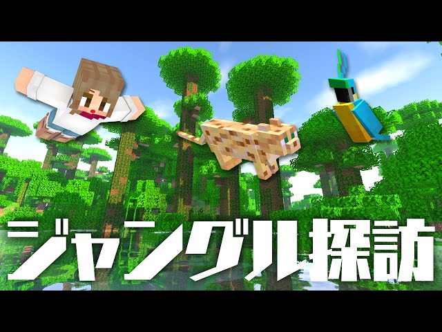 マインクラフト 熱帯の砂浜に南国リゾートを建築する マイクラ実況 233 Litetube マインクラフト 熱帯の砂浜に南国リゾートを建築する マイクラ実況 233 Litetube