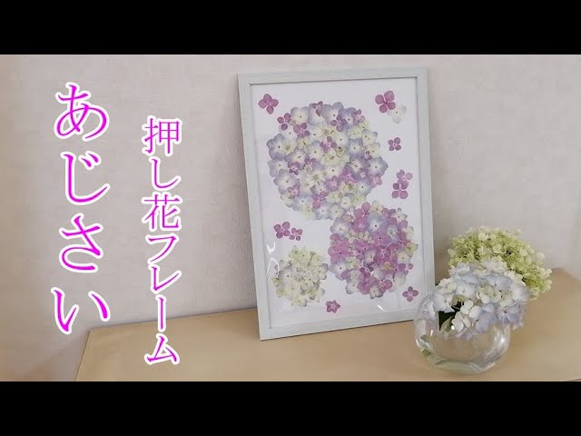 レンジで簡単押し花の作り方 ビオラの押し花 レジン素材作り Litetube レンジで簡単押し花の作り方 ビオラの押し花 レジン素材作り Litetube