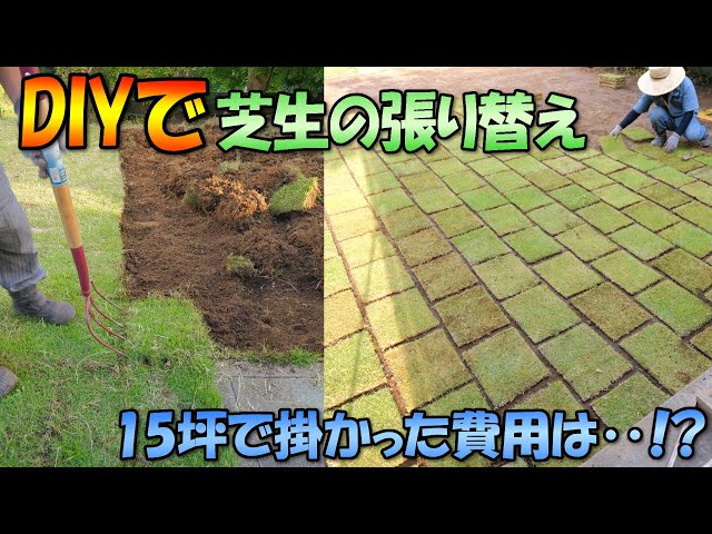 芝刈りルールを フル無視 軸刈り の対処法もお伝えします Litetube