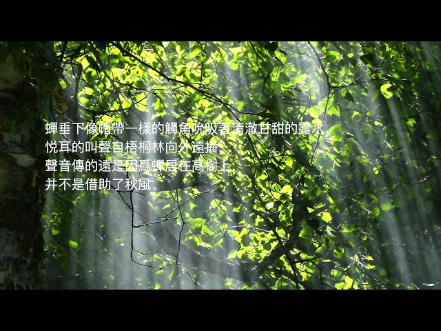 Three Seven Two Shop 37 2度雜貨店 Litetube Three Seven Two Shop 37 2度雜貨店 Litetube