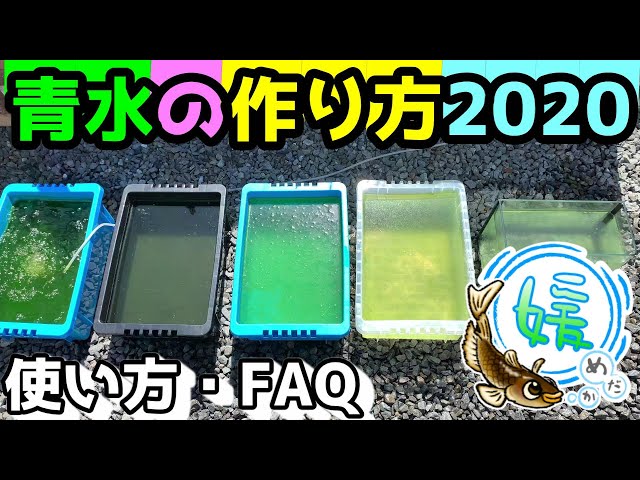 メダカの冬越し準備 完全版 失敗しない屋外での越冬方法について 媛めだか Litetube メダカの冬越し準備 完全版 失敗しない屋外での越冬方法について 媛めだか Litetube