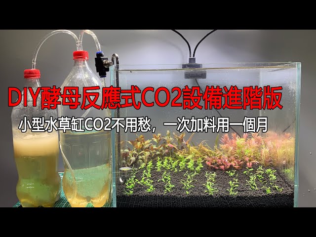 Diy成本只用10元的co2缸外擴散器 Co2利用效率最大化 Diy Co2 Diffusion Dissolver Improve Co2 Utilization Efficiency Litetube Diy成本只用10元的co2缸外擴散器 Co2利用效率最大化 Diy Co2 Diffusion Dissolver Improve Co2 Utilization Efficiency Litetube