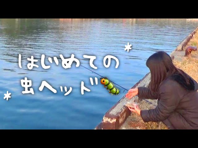 虫ヘッド釣法 でグレ ガシラ メバル 沖堤防で新釣法 ガッ釣り関西 066 Litetube 虫ヘッド釣法 でグレ ガシラ メバル 沖堤防で新釣法 ガッ釣り関西 066 Litetube