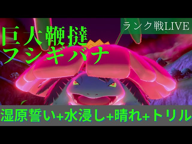 レシラム 元世界チャンピオンのダブルランク戦 ポケモン剣盾 Litetube レシラム 元世界チャンピオンのダブルランク戦 ポケモン剣盾 Litetube