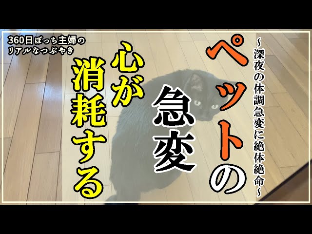 ぼっち主婦vlog 35 私の幸福度が下がる理由 昔のお話 Litetube