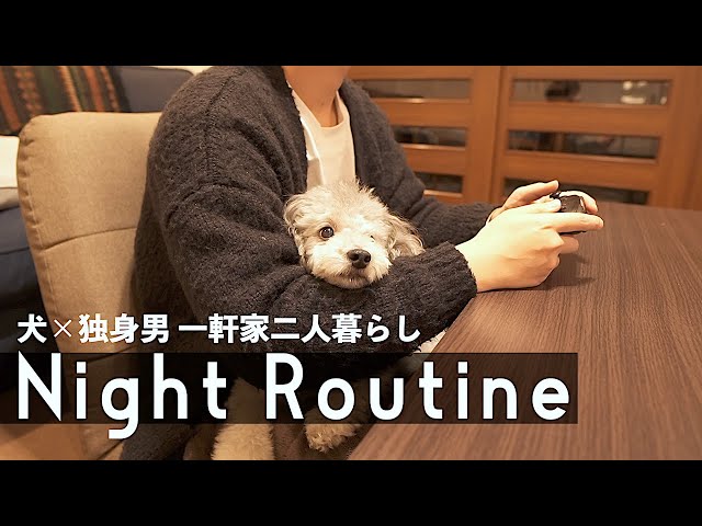 犬と28歳独身男性の一軒家二人暮らしのモーニングルーティン トイプードル Litetube 犬と28歳独身男性の一軒家二人暮らしのモーニングルーティン トイプードル Litetube