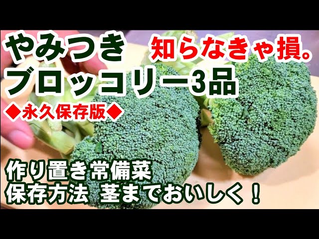 大人気 やみつきブロッコリー とまらない最強おつまみ 台湾風ガーリックブロッコリー 作り置き常備菜 副菜 健康食 ダイエット 美容 簡単レシピ Litetube