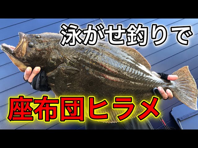 泳がせ釣り 座布団ヒラメ ボートの乗り方 降り方 神奈川県横須賀市大津港 Litetube 泳がせ釣り 座布団ヒラメ ボートの乗り方 降り方 神奈川県横須賀市大津港 Litetube