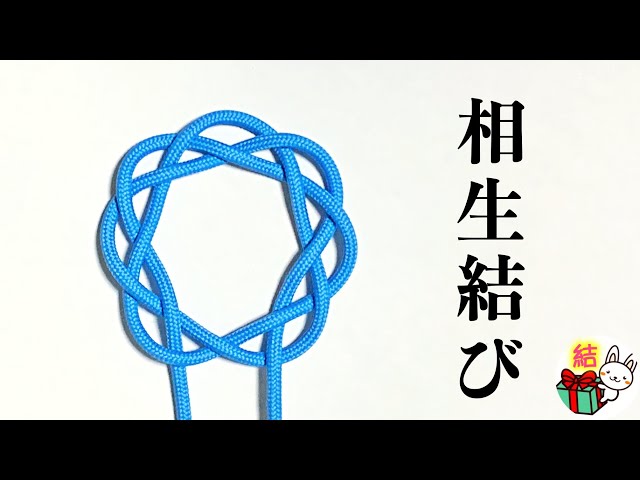 飾り結び 菊結び のやり方 パラコード Chinese Good Luck Knot 結び方ナビ How To Tie Litetube 飾り結び 菊結び のやり方 パラコード Chinese Good Luck Knot 結び方ナビ How To Tie Litetube